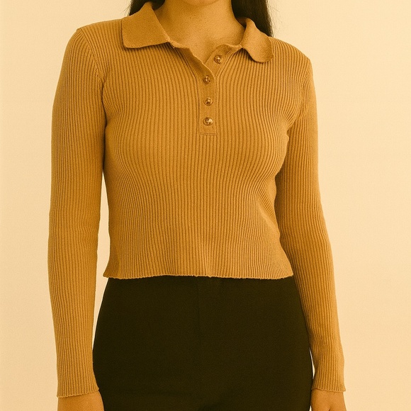 (S) Camel Ribbed Cropped Polo Sweater (Forever 21) - Picture 1 of 2